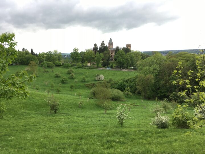 Wanderweg im Siebengebirge rund um Königswinter